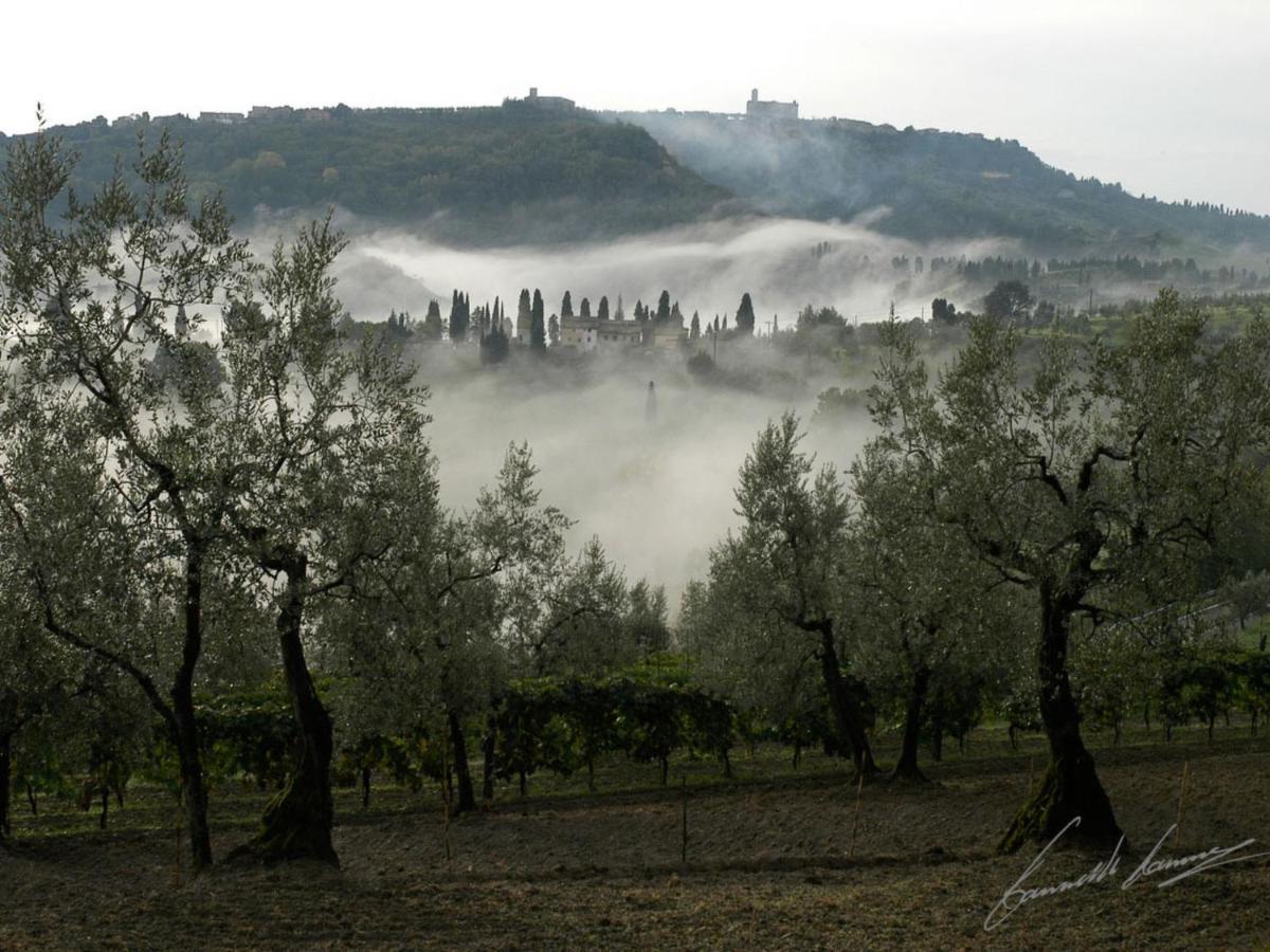 Holiday Home Podere Santa Lucia By Interhome Volterra Exterior photo